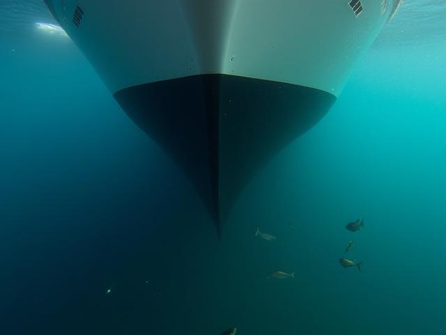 Underwater view of a clean yacht hull with anti-fouling paint, showing marine life swimming nearby.